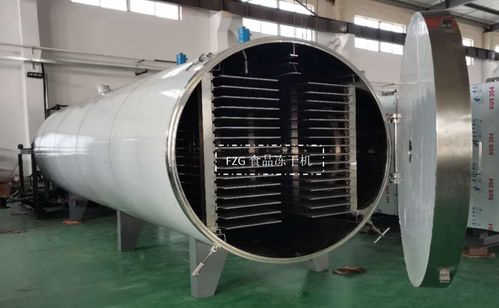 大型食品凍干機(jī)交付廣西，賦能果蔬凍干深加工技術(shù)升級