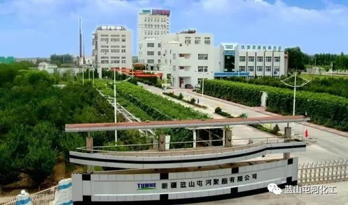 聚酯公司榮膺自治區(qū)綠色工廠稱號 以技術(shù)引領(lǐng)，鑄就綠色可持續(xù)發(fā)展新標(biāo)桿